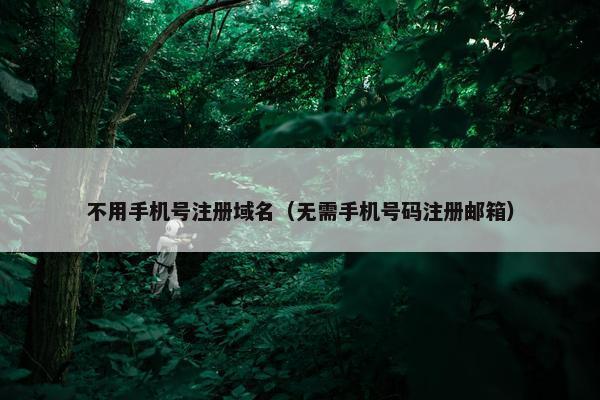 不用手机号注册域名（无需手机号码注册邮箱）