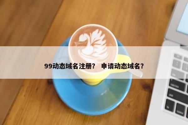 99动态域名注册？ 申请动态域名？