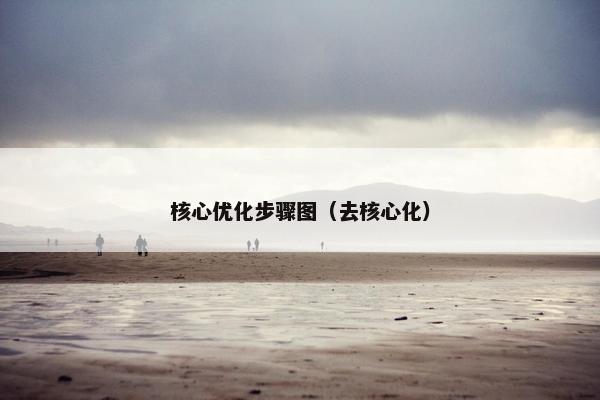 核心优化步骤图（去核心化）