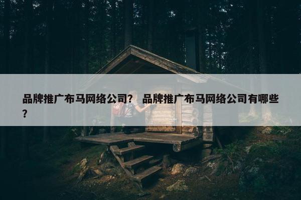 品牌推广布马网络公司？ 品牌推广布马网络公司有哪些？