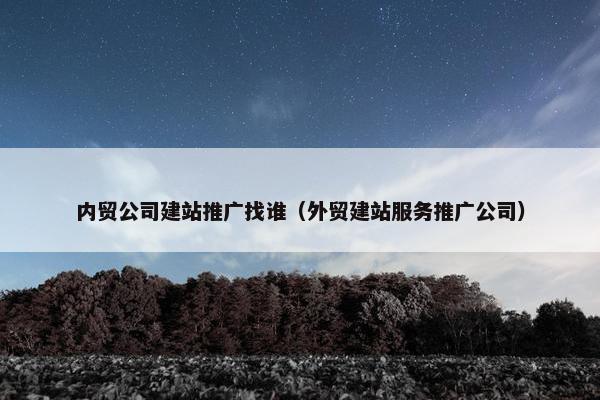 内贸公司建站推广找谁（外贸建站服务推广公司）