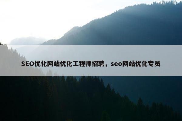 SEO优化网站优化工程师招聘，seo网站优化专员