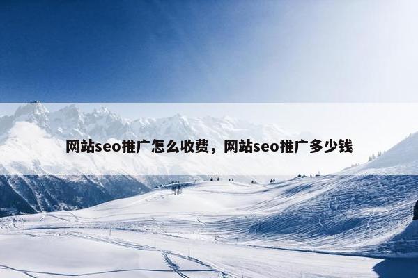 网站seo推广怎么收费，网站seo推广多少钱