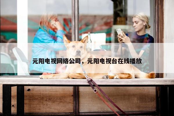 元阳电视网络公司，元阳电视台在线播放