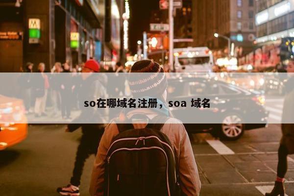 so在哪域名注册，soa 域名