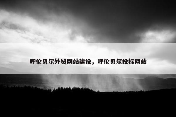 呼伦贝尔外贸网站建设，呼伦贝尔投标网站