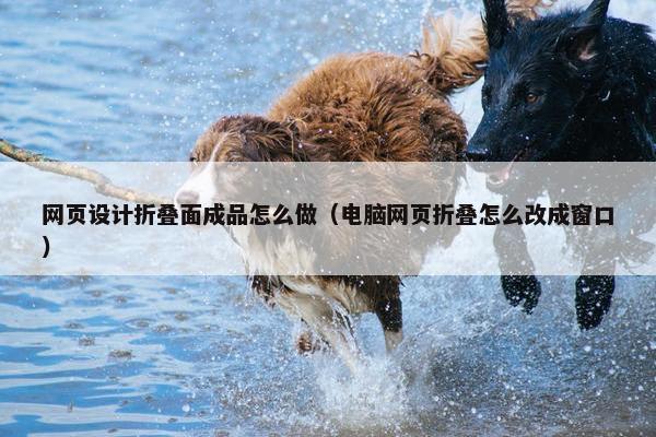网页设计折叠面成品怎么做（电脑网页折叠怎么改成窗口）