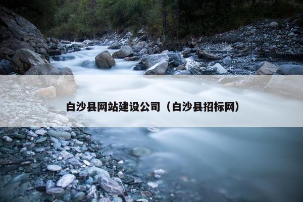 白沙县网站建设公司（白沙县招标网）
