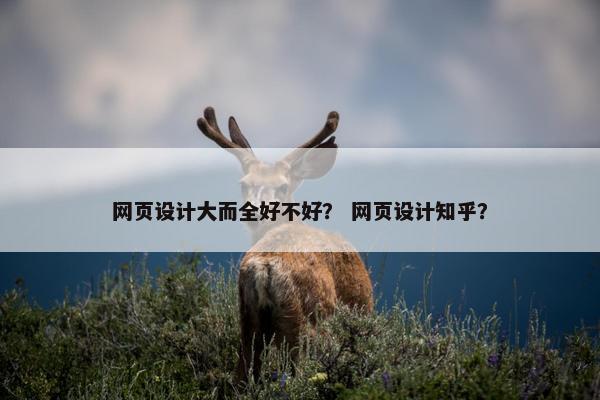 网页设计大而全好不好？ 网页设计知乎？
