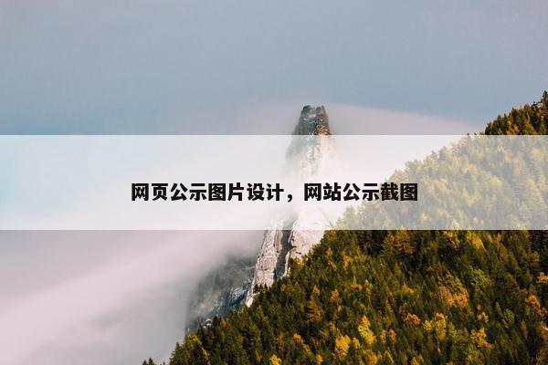 网页公示图片设计，网站公示截图