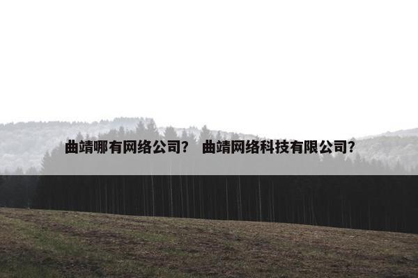 曲靖哪有网络公司？ 曲靖网络科技有限公司？