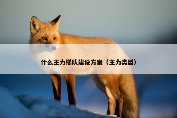 什么主力梯队建设方案（主力类型）
