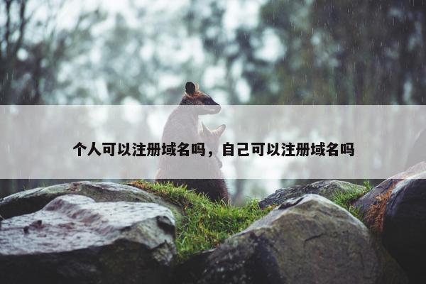个人可以注册域名吗，自己可以注册域名吗