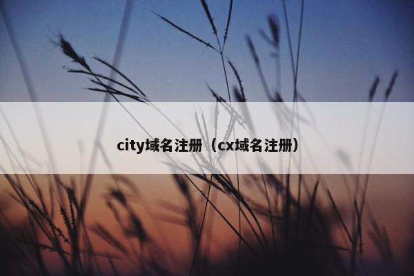 city域名注册（cx域名注册）