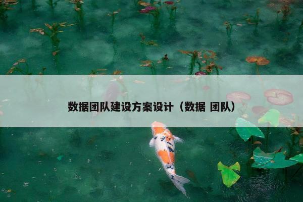 数据团队建设方案设计（数据 团队）