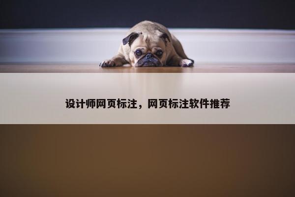 设计师网页标注，网页标注软件推荐