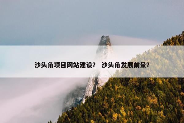 沙头角项目网站建设？ 沙头角发展前景？