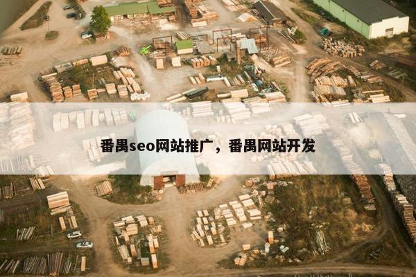 番禺seo网站推广，番禺网站开发