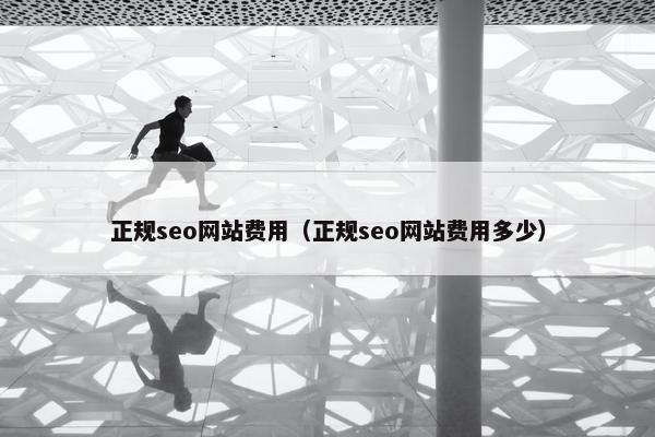 正规seo网站费用（正规seo网站费用多少）