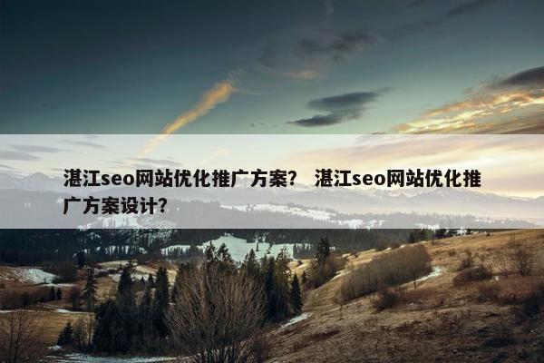 湛江seo网站优化推广方案？ 湛江seo网站优化推广方案设计？