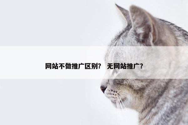 网站不做推广区别？ 无网站推广？