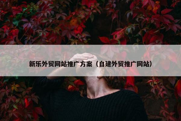 新乐外贸网站推广方案（自建外贸推广网站）