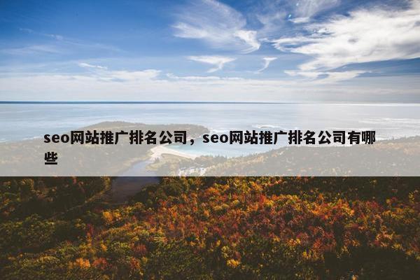 seo网站推广排名公司，seo网站推广排名公司有哪些