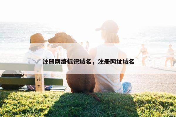 注册网络标识域名，注册网址域名
