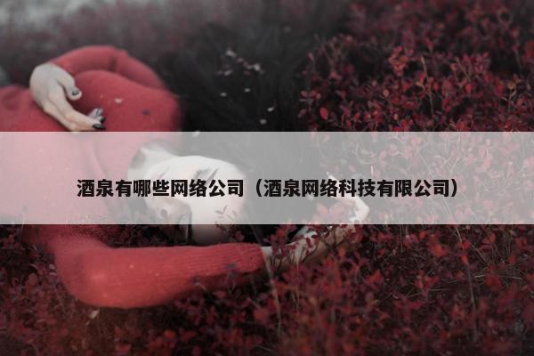 酒泉有哪些网络公司（酒泉网络科技有限公司）