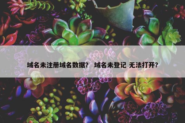 域名未注册域名数据？ 域名未登记 无法打开？