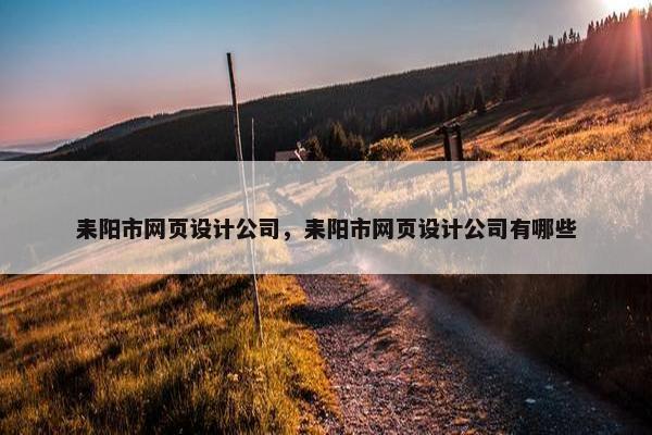耒阳市网页设计公司，耒阳市网页设计公司有哪些