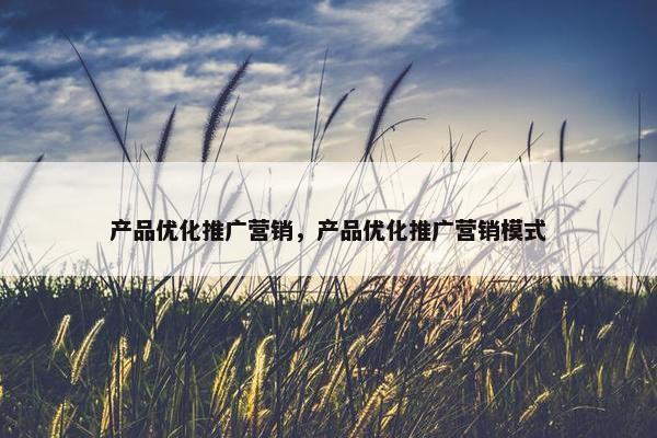 产品优化推广营销，产品优化推广营销模式