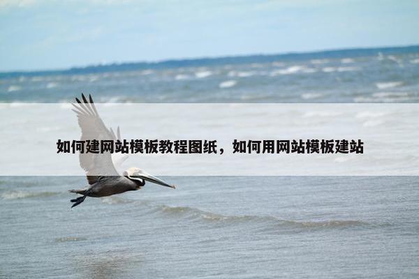 如何建网站模板教程图纸，如何用网站模板建站