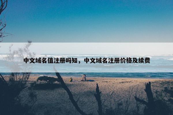 中文域名值注册吗知，中文域名注册价格及续费