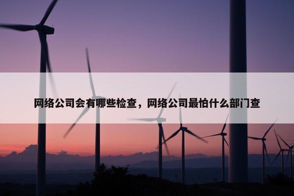 网络公司会有哪些检查，网络公司最怕什么部门查