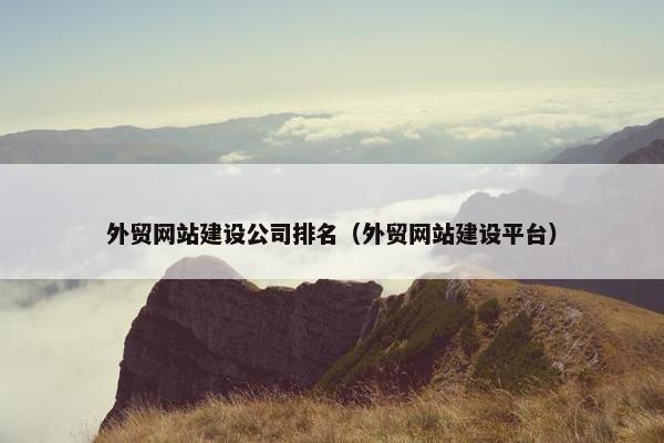 外贸网站建设公司排名（外贸网站建设平台）
