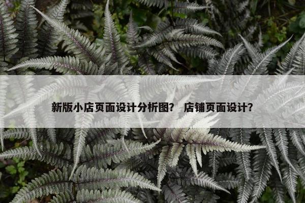 新版小店页面设计分析图？ 店铺页面设计？