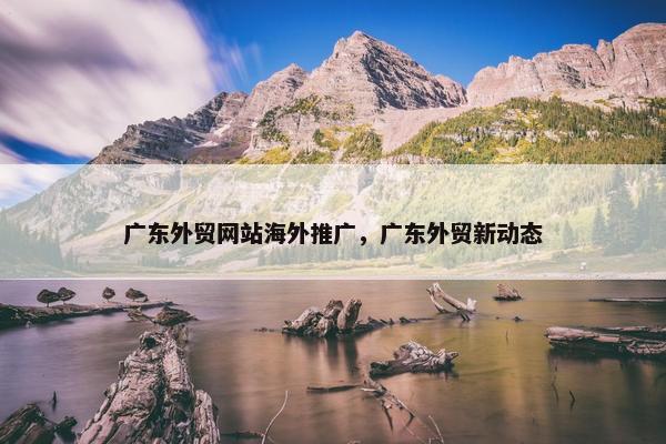 广东外贸网站海外推广，广东外贸新动态
