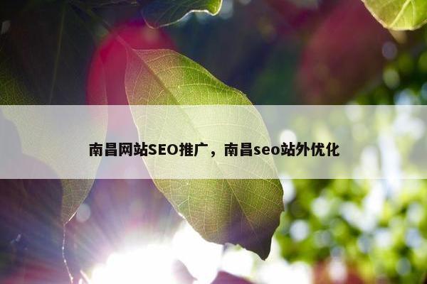 南昌网站SEO推广，南昌seo站外优化