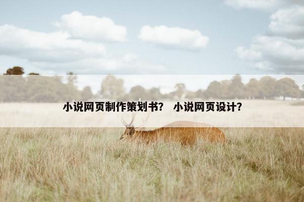 小说网页制作策划书？ 小说网页设计？