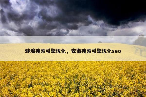 蚌埠搜索引擎优化，安徽搜索引擎优化seo