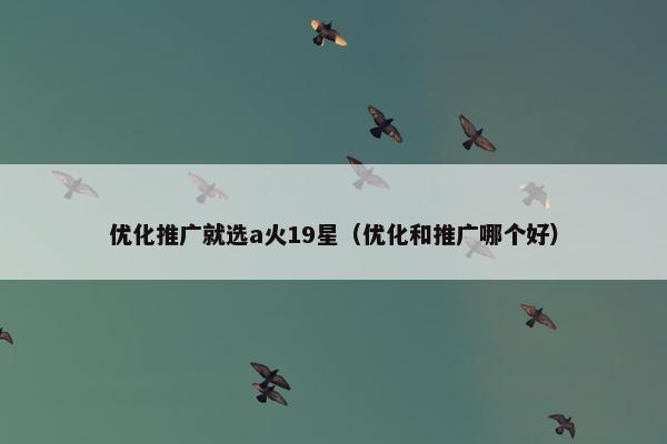 优化推广就选a火19星（优化和推广哪个好）