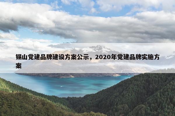 锡山党建品牌建设方案公示，2020年党建品牌实施方案