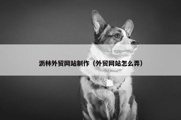 沥林外贸网站制作（外贸网站怎么弄）