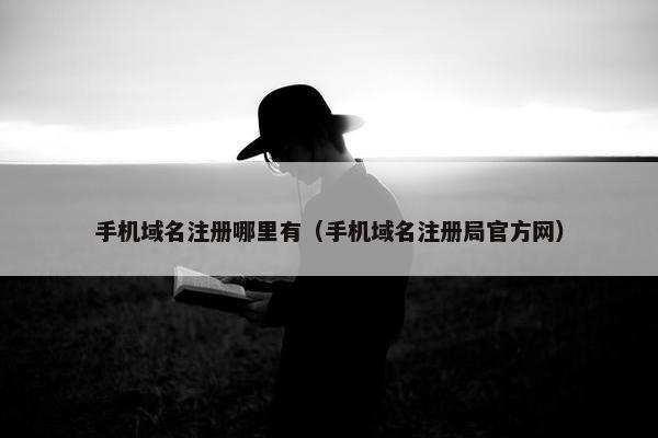 手机域名注册哪里有（手机域名注册局官方网）
