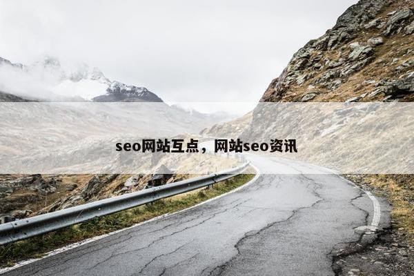 seo网站互点，网站seo资讯