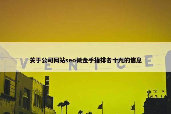 关于公司网站seo微金手指排名十九的信息