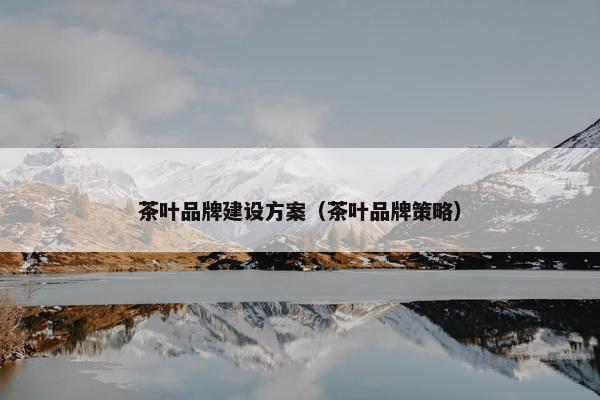 茶叶品牌建设方案（茶叶品牌策略）