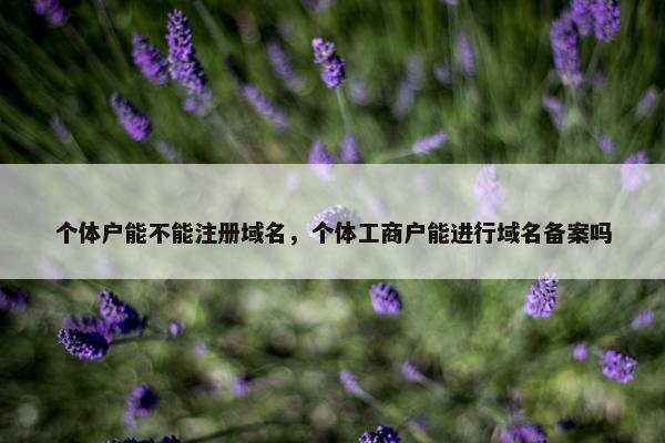 个体户能不能注册域名，个体工商户能进行域名备案吗
