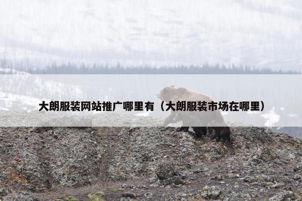 大朗服装网站推广哪里有（大朗服装市场在哪里）
